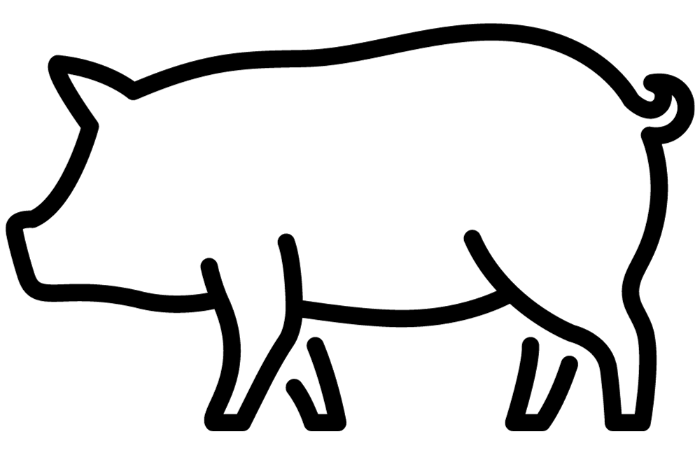 outline of a pig
